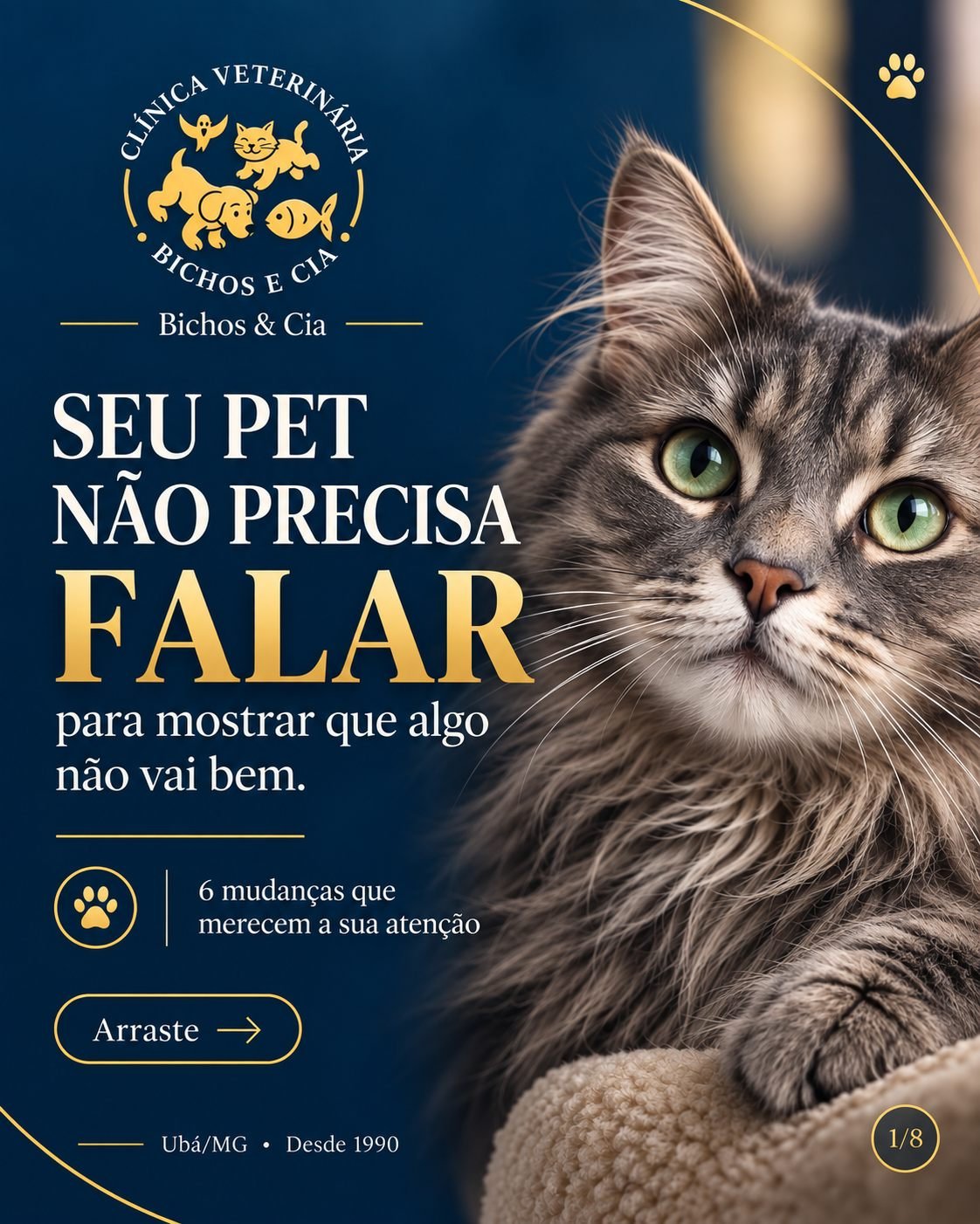 Seu pet não precisa falar: 6 mudanças que merecem atenção