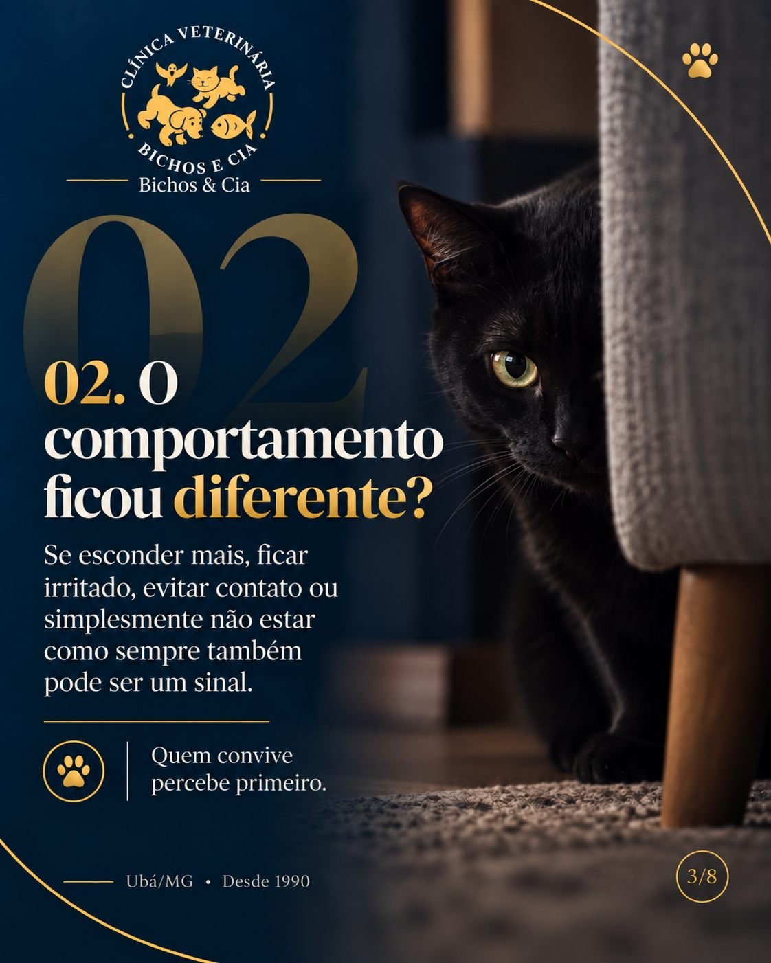 Gato escondido: mudança de comportamento que pode merecer avaliação