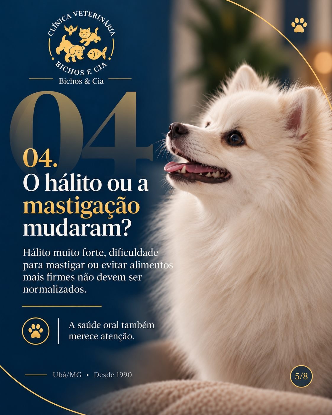 Cão com destaque para a boca: hálito e mastigação também importam