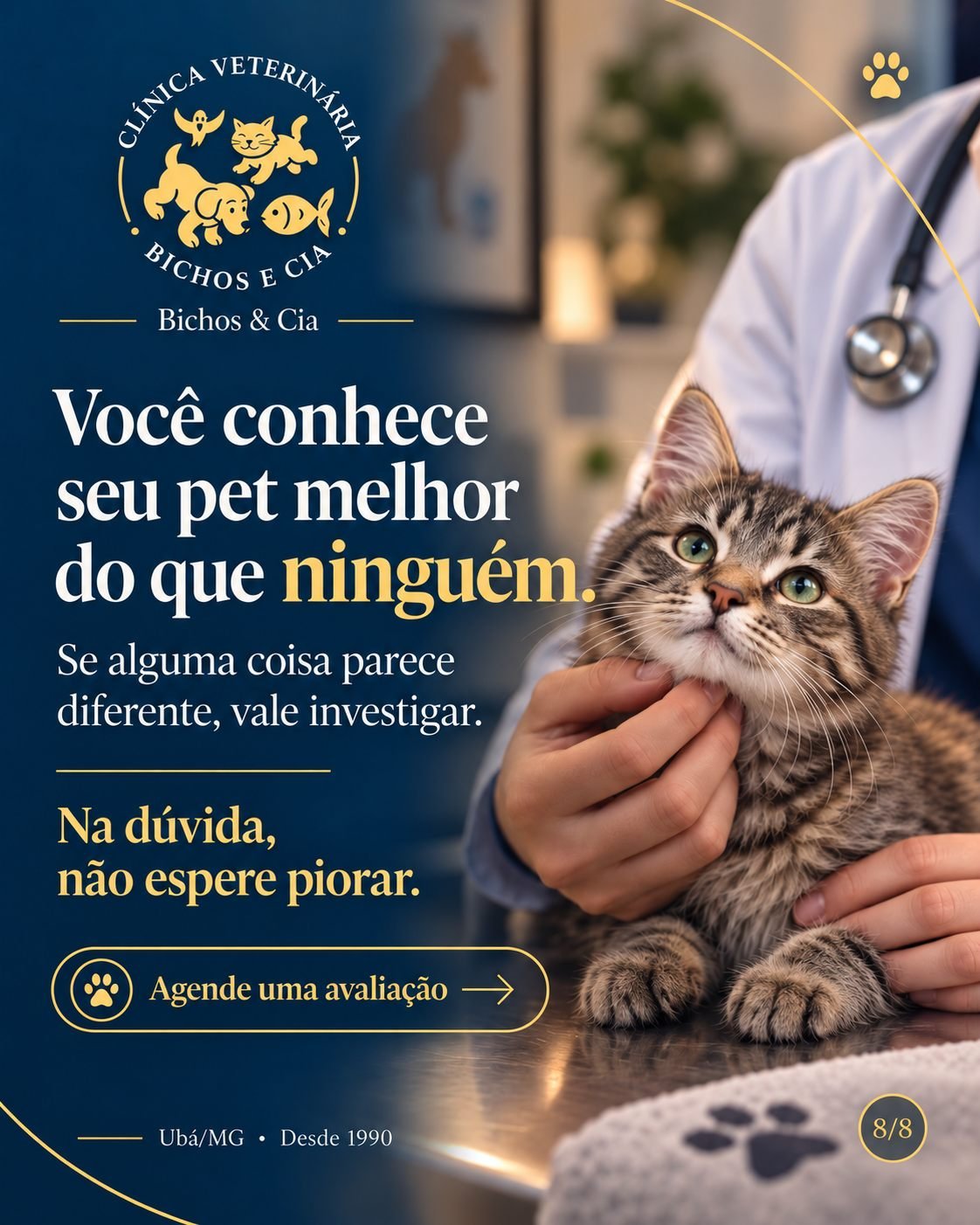 Tutor e gato na consulta veterinária da Bichos & Cia em Ubá