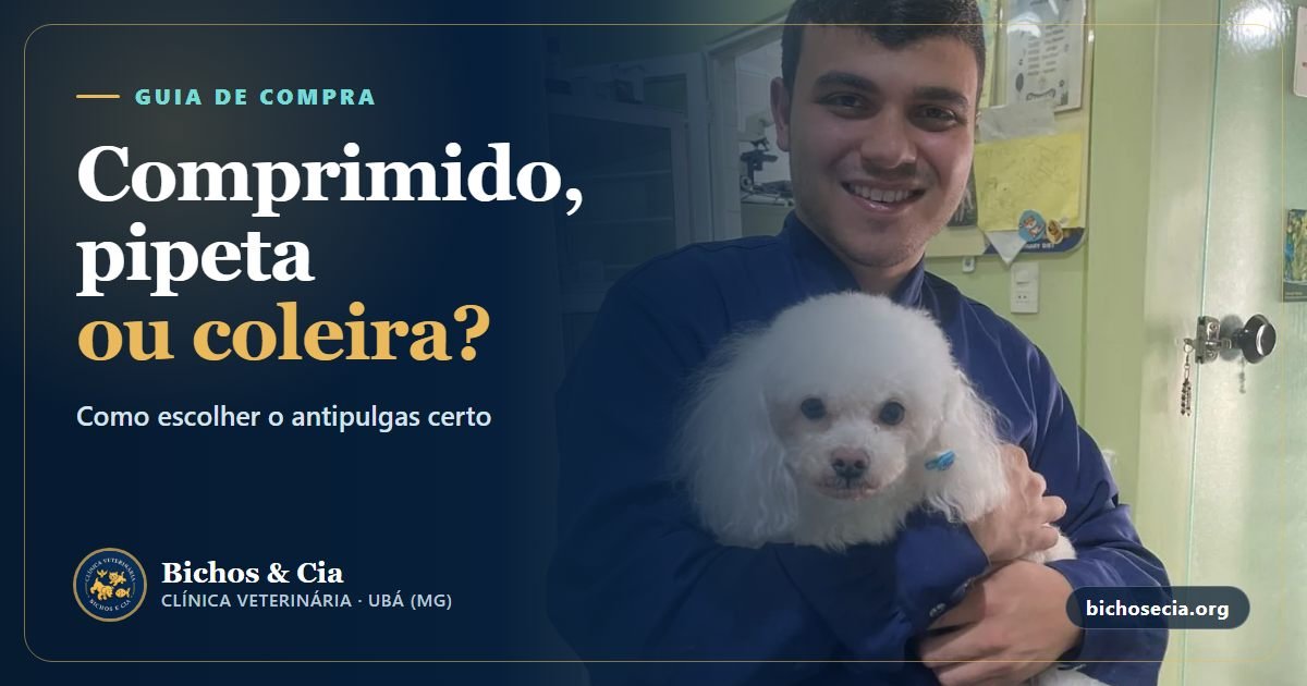 Antipulgas e carrapaticidas: como escolher e usar o melhor para seu cão ou gato