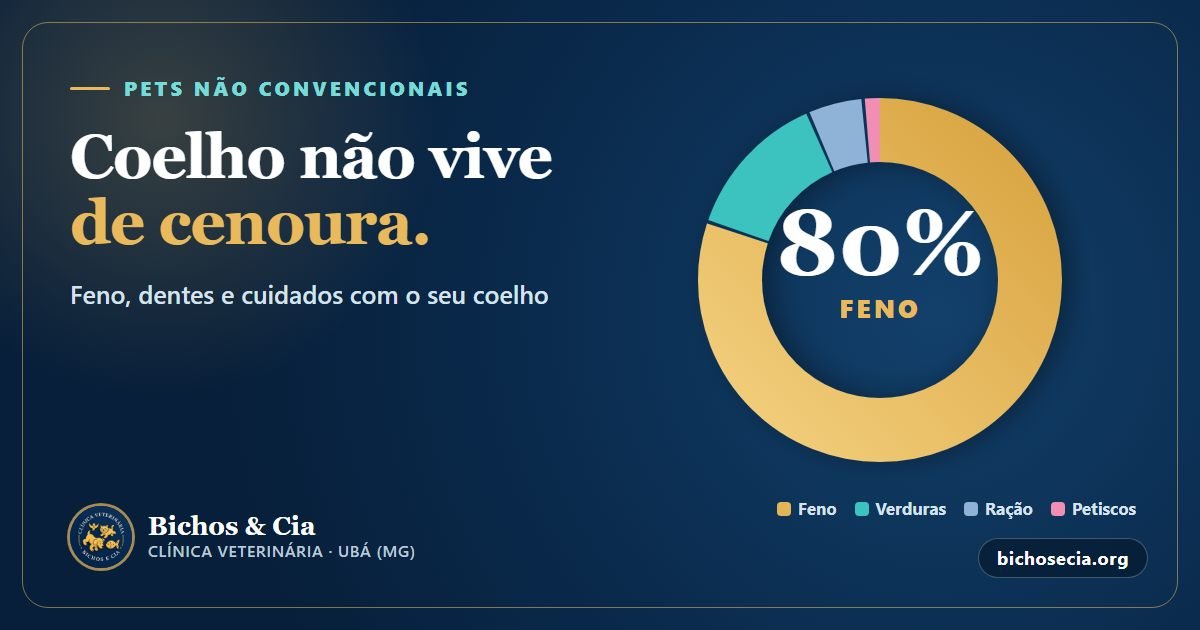 Coelho de estimação: alimentação com feno, dentes, sinais de doença e cuidados