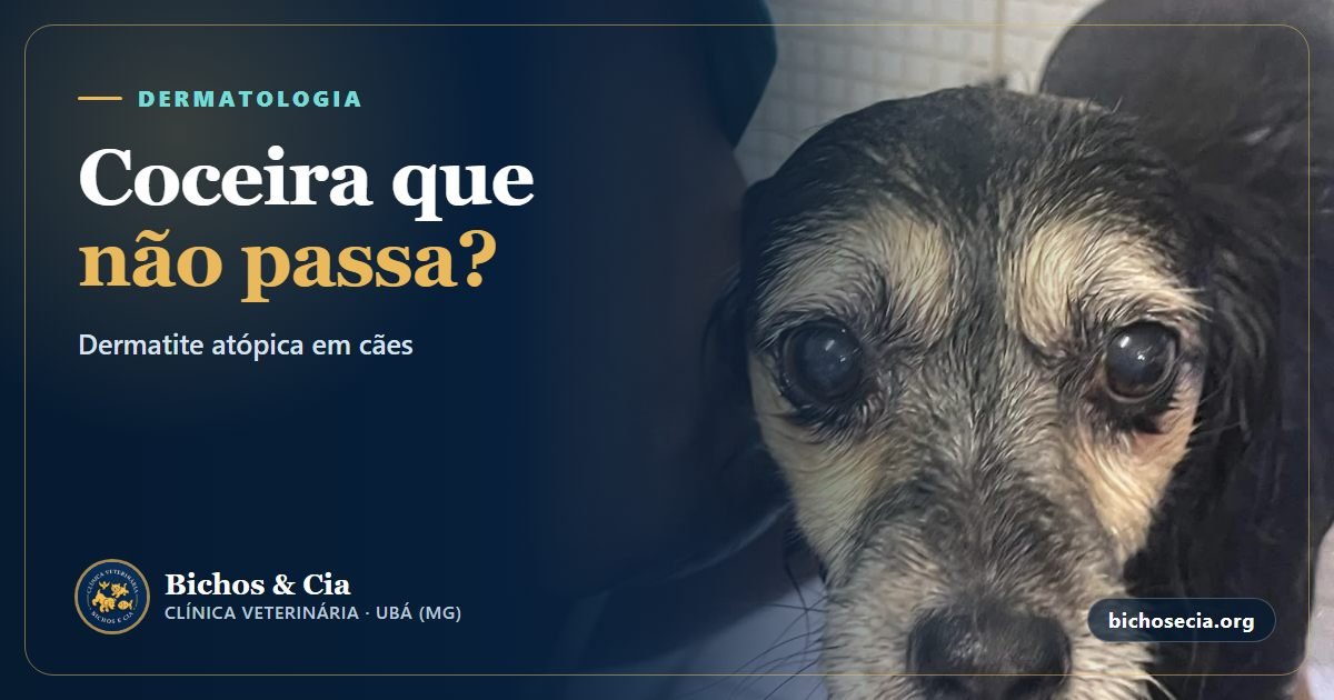 Dermatite atópica em cães: coceira, lambedura das patas, diagnóstico e tratamento