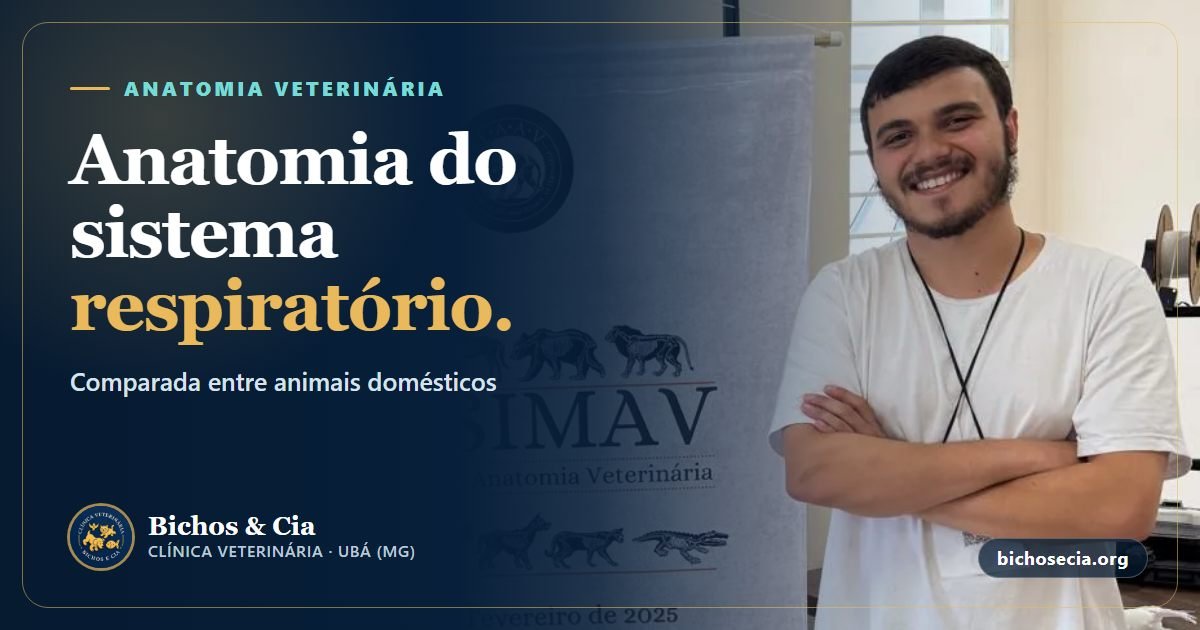 Anatomia comparada do sistema respiratório em animais domésticos
