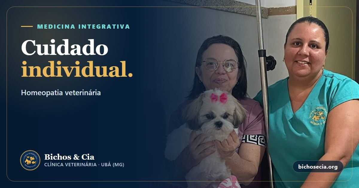 Homeopatia veterinária: por que o cuidado é individual?