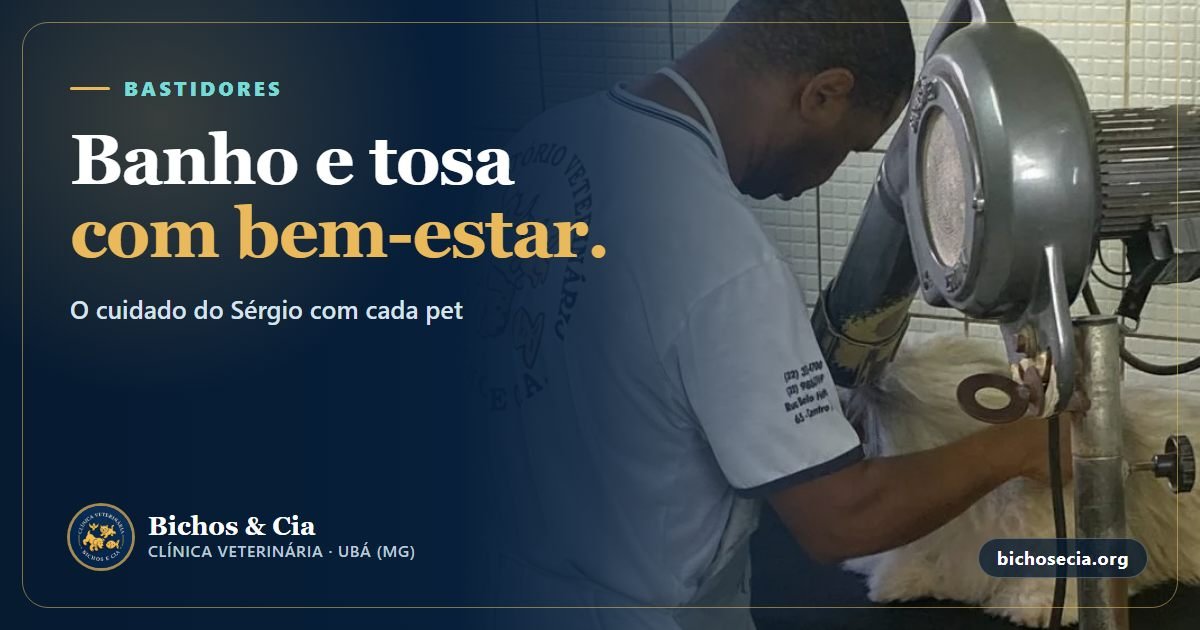 Sérgio e o banho e tosa como experiência de bem-estar