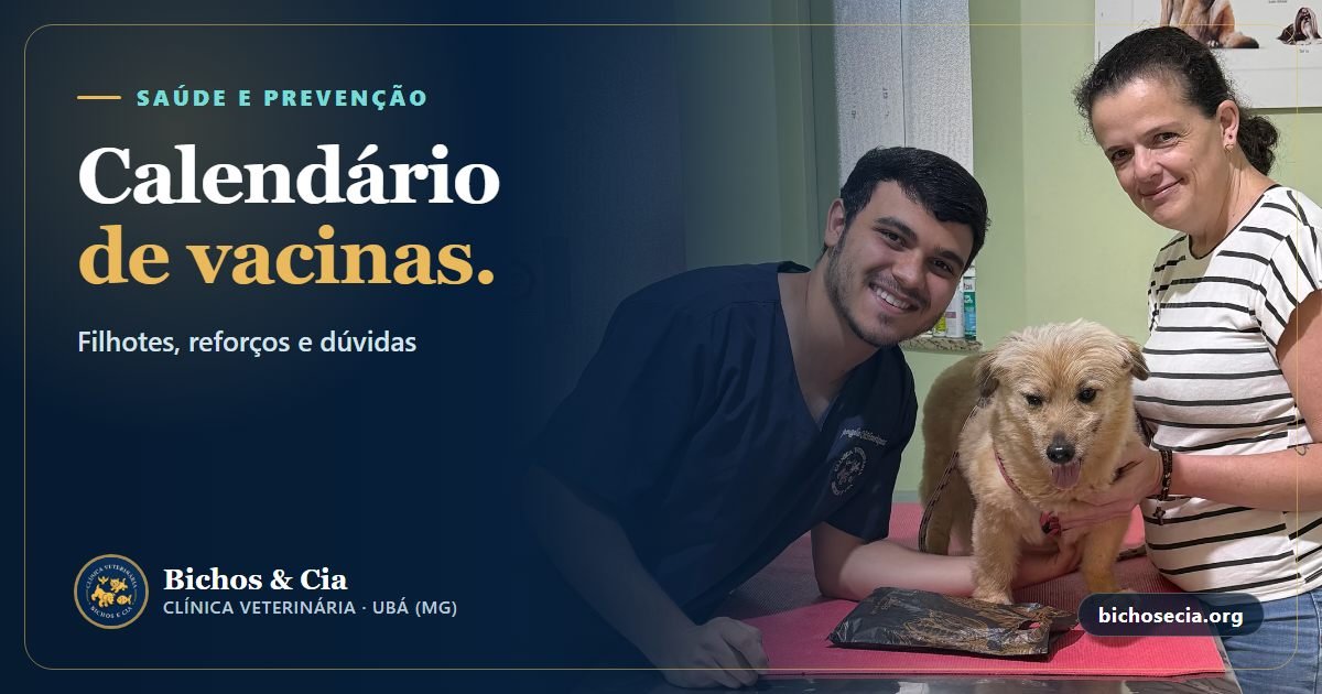 Vacinas para cães e gatos: calendário do filhote, V8 x V10, reforços e dúvidas comuns
