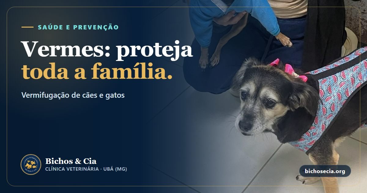 Vermes em cães e gatos: sinais, riscos para a família e de quanto em quanto tempo vermifugar