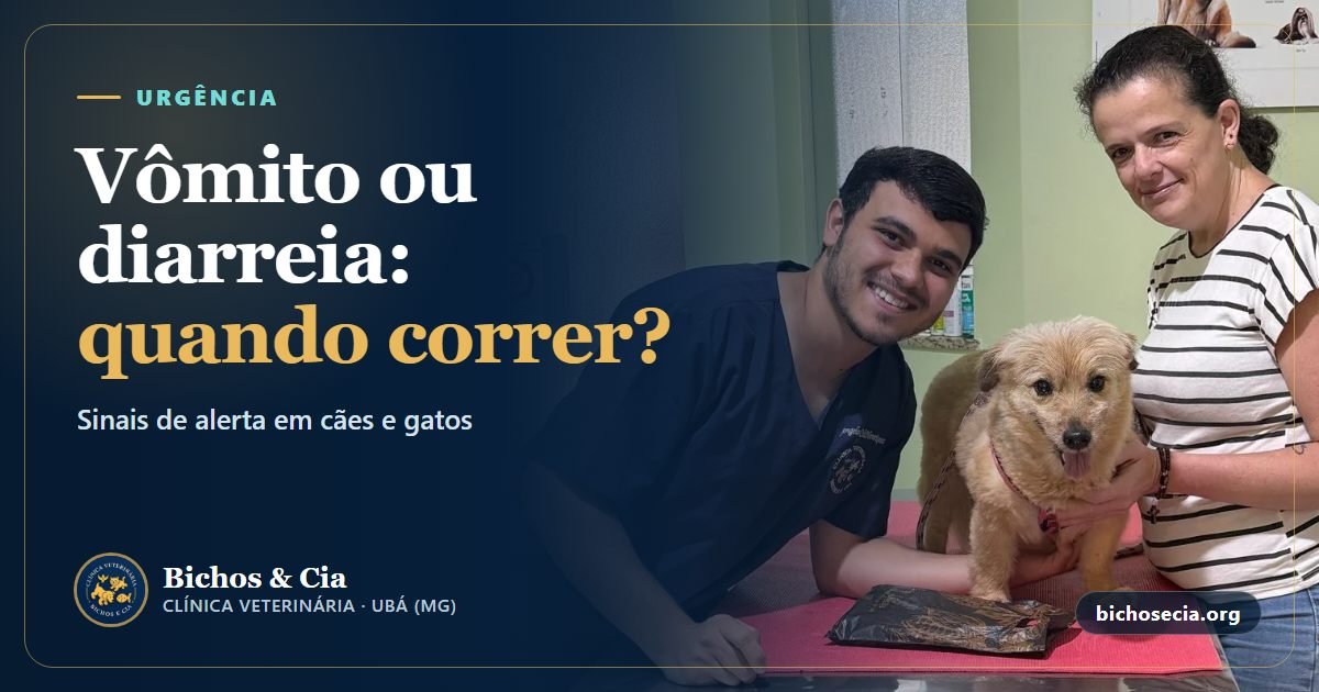 Vômito e diarreia em cães e gatos: quando esperar e quando é urgência