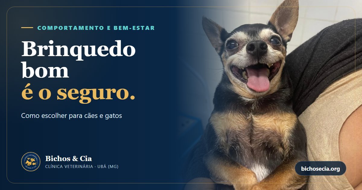 Brinquedos para cães e gatos: como escolher com segurança e brincar do jeito certo