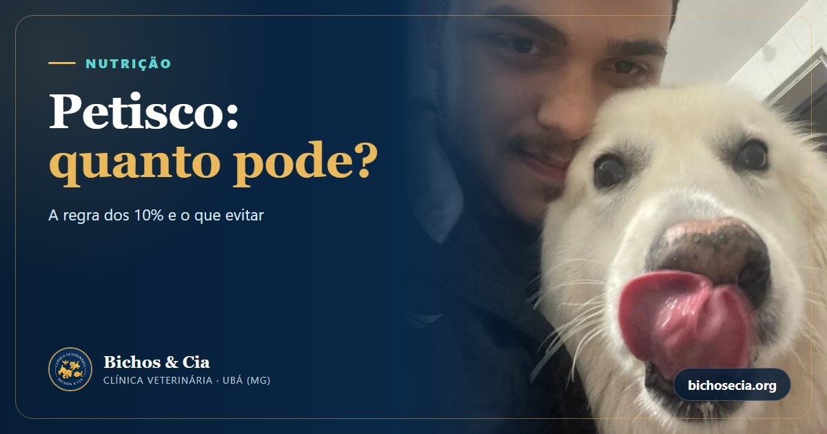 Petiscos para cães e gatos: como escolher, quanto dar por dia e o que evitar