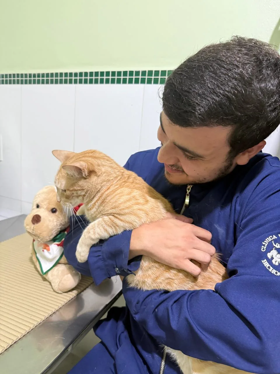 Urgências veterinárias