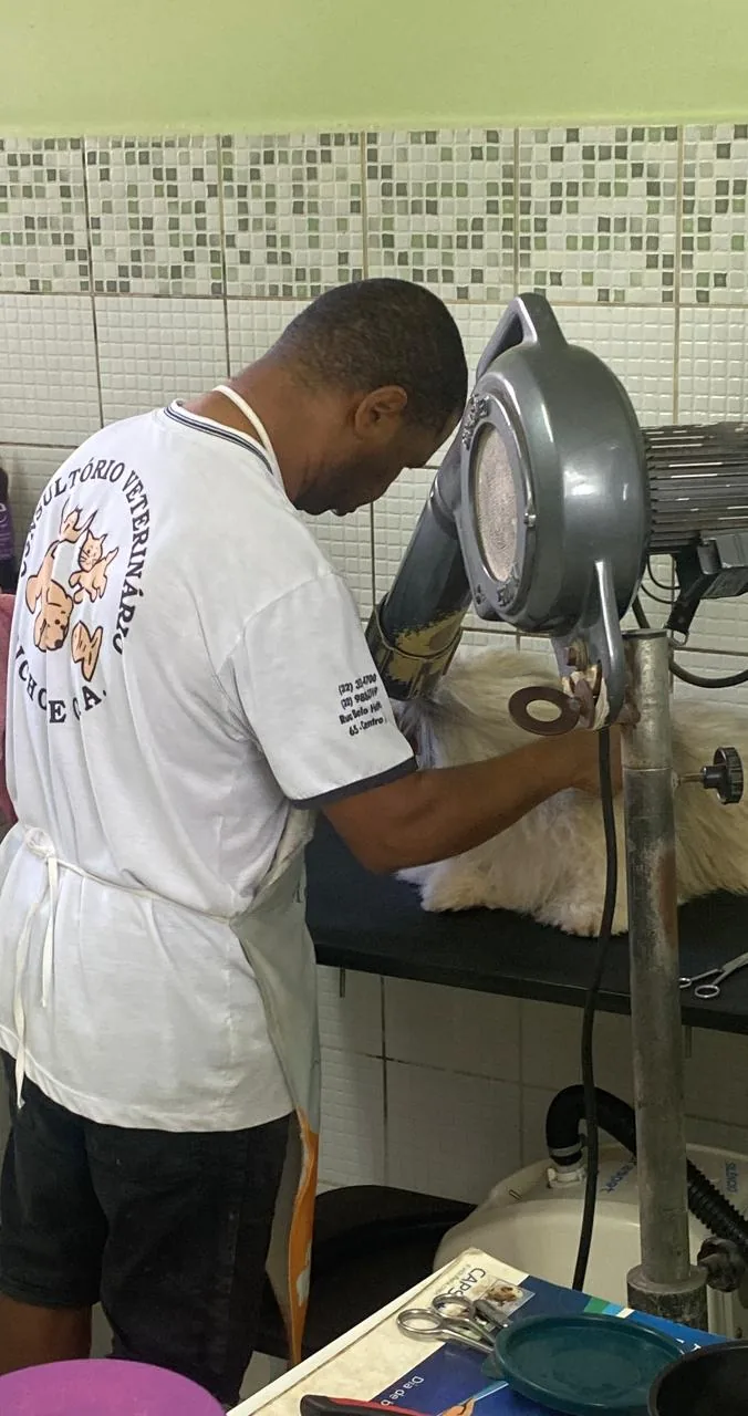 Sérgio no banho e tosa