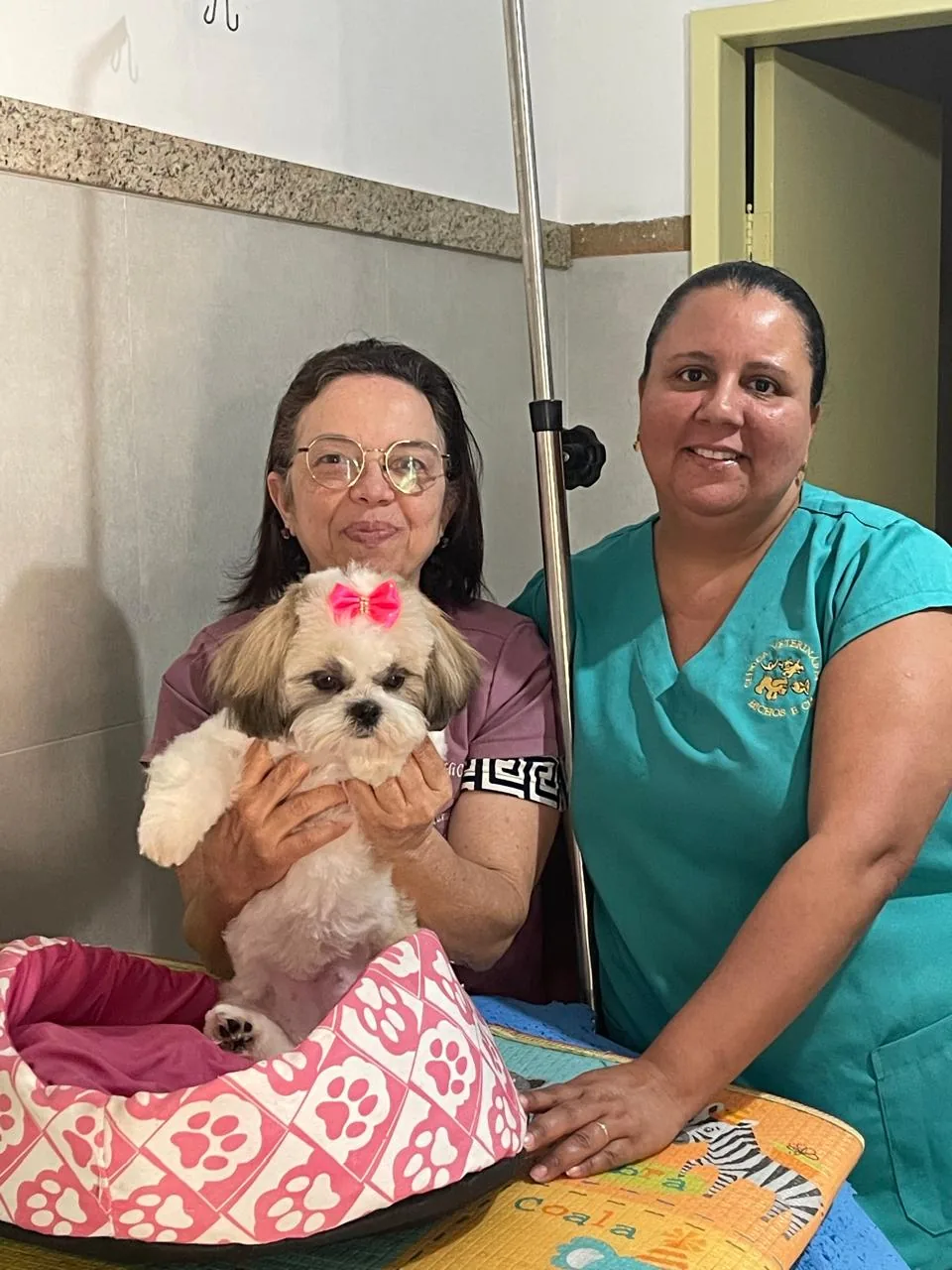 Dra. Denise e tutora