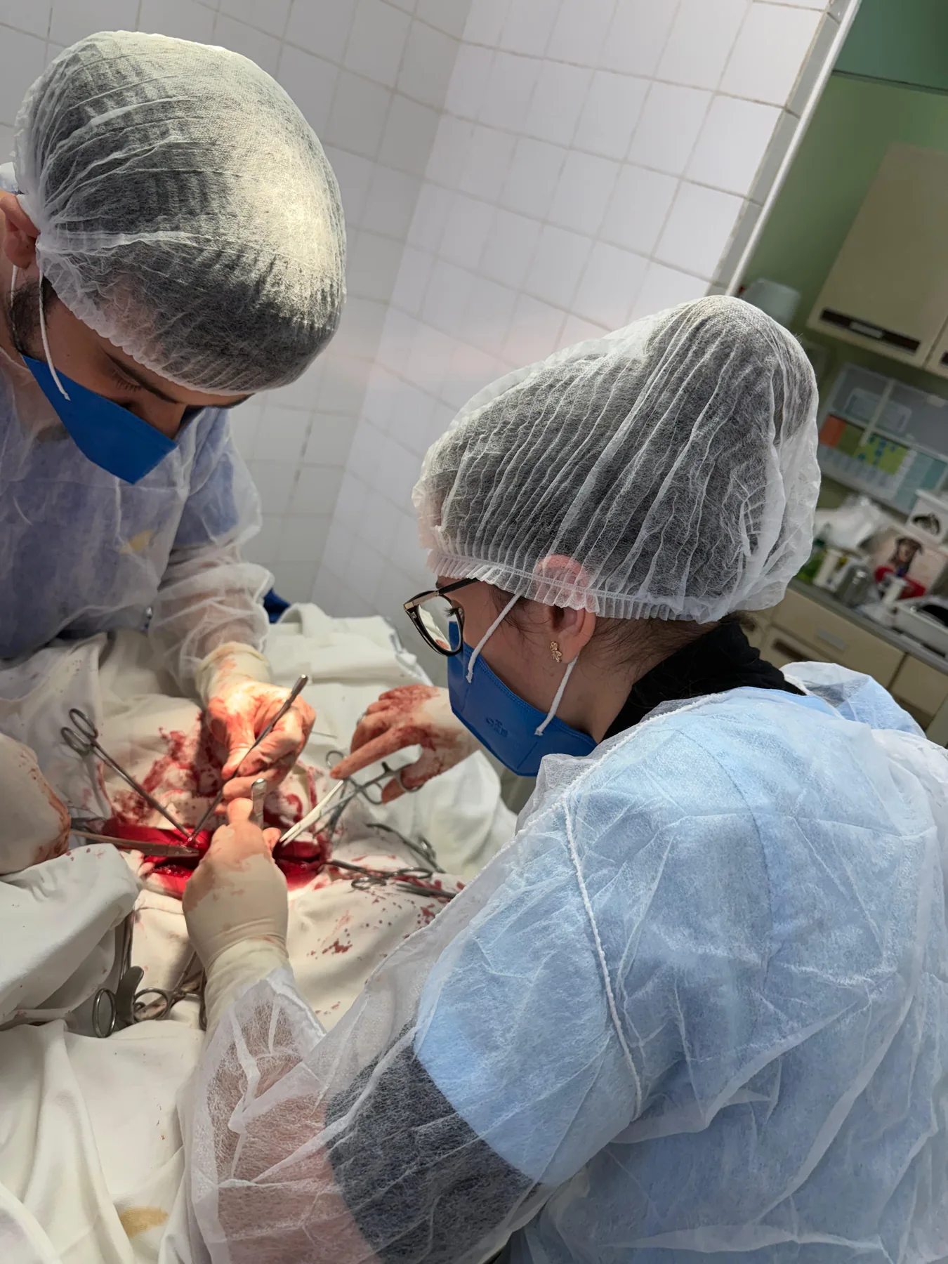 Cirurgias veterinárias na Clínica Veterinária Bichos & Cia em Ubá