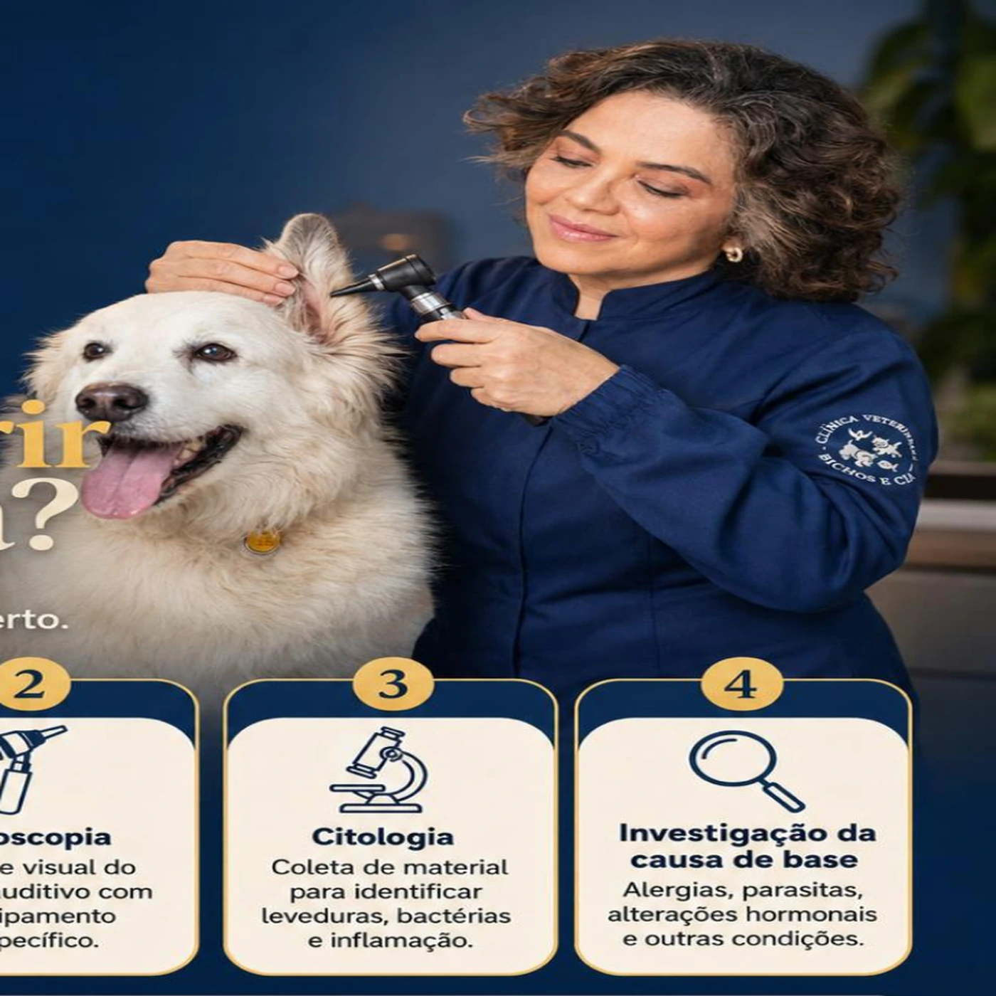 Otite em cães: sinais, causas, diagnóstico e tratamento na Clínica Veterinária Bichos & Cia em Ubá
