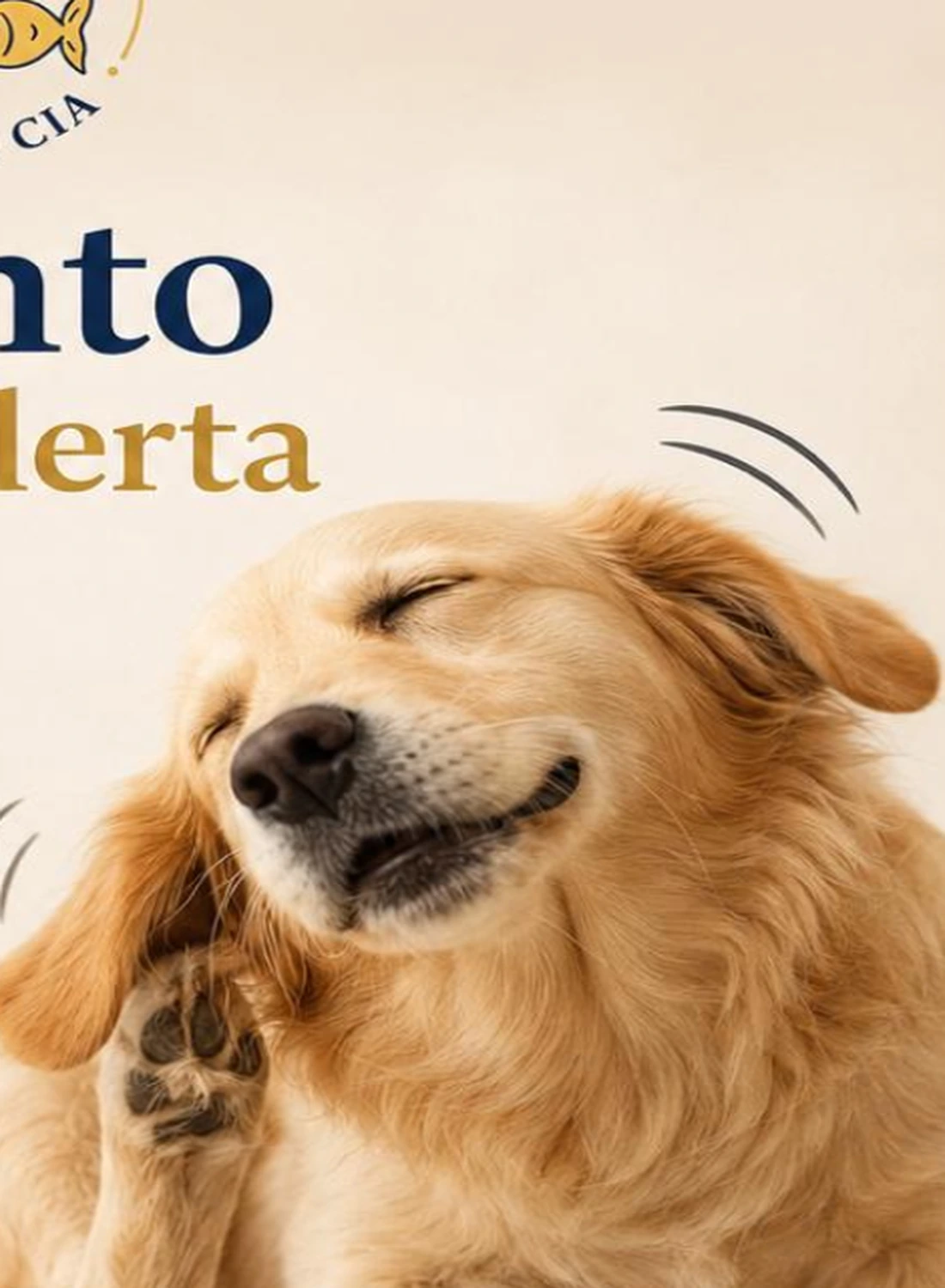 Otite em cães: sinais, causas, diagnóstico e tratamento na Clínica Veterinária Bichos & Cia em Ubá